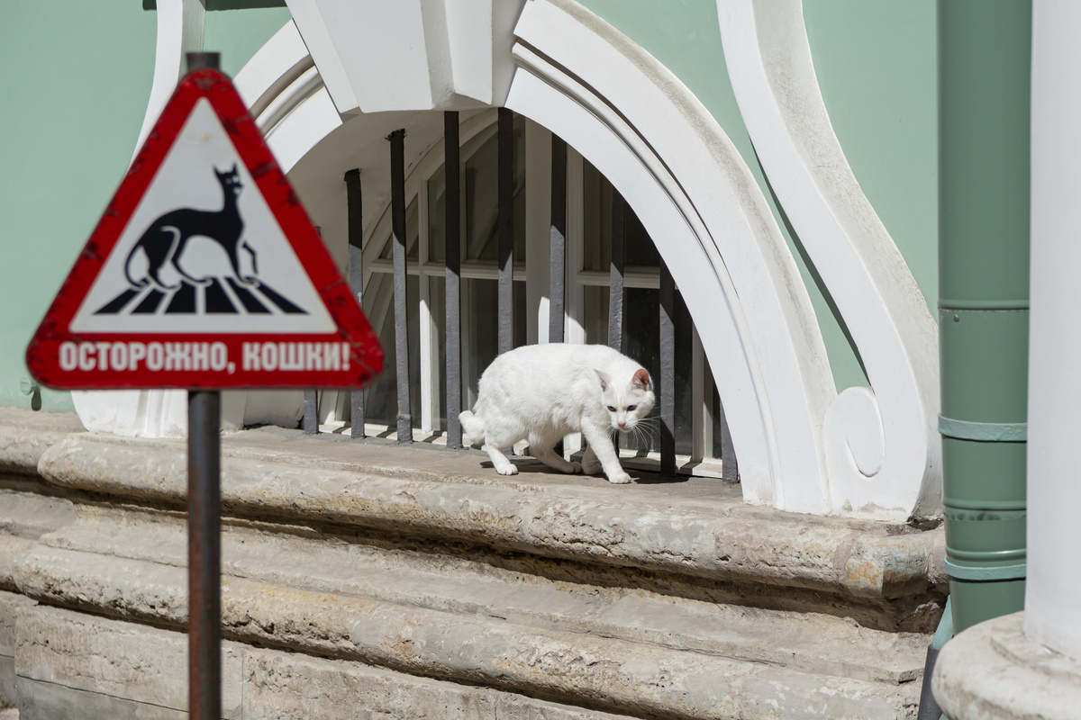     / Светлана Рагина, Государственный Эрмитаж