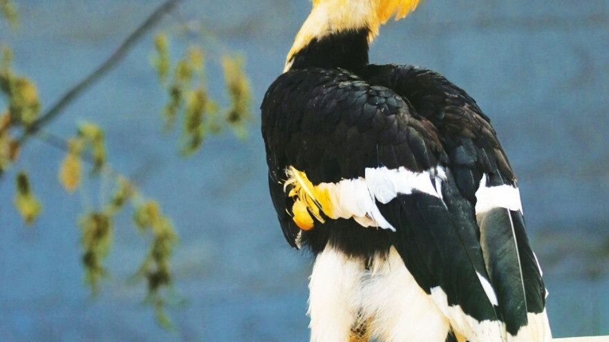     Источник: Telegram-канал Ленинградского зоопарка