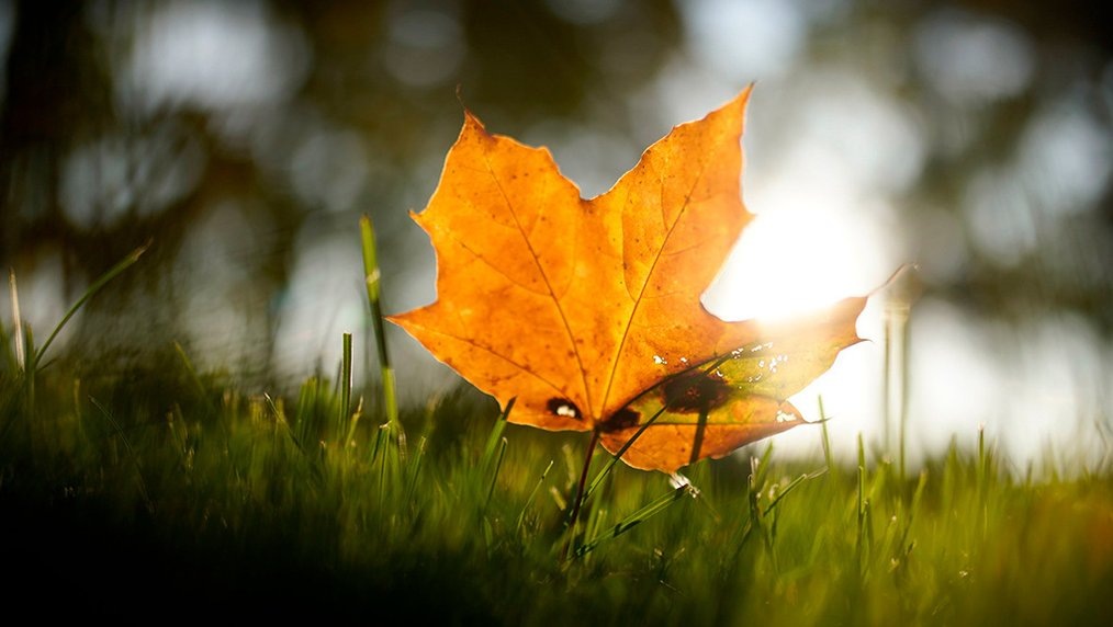 Агентство «Москва»
