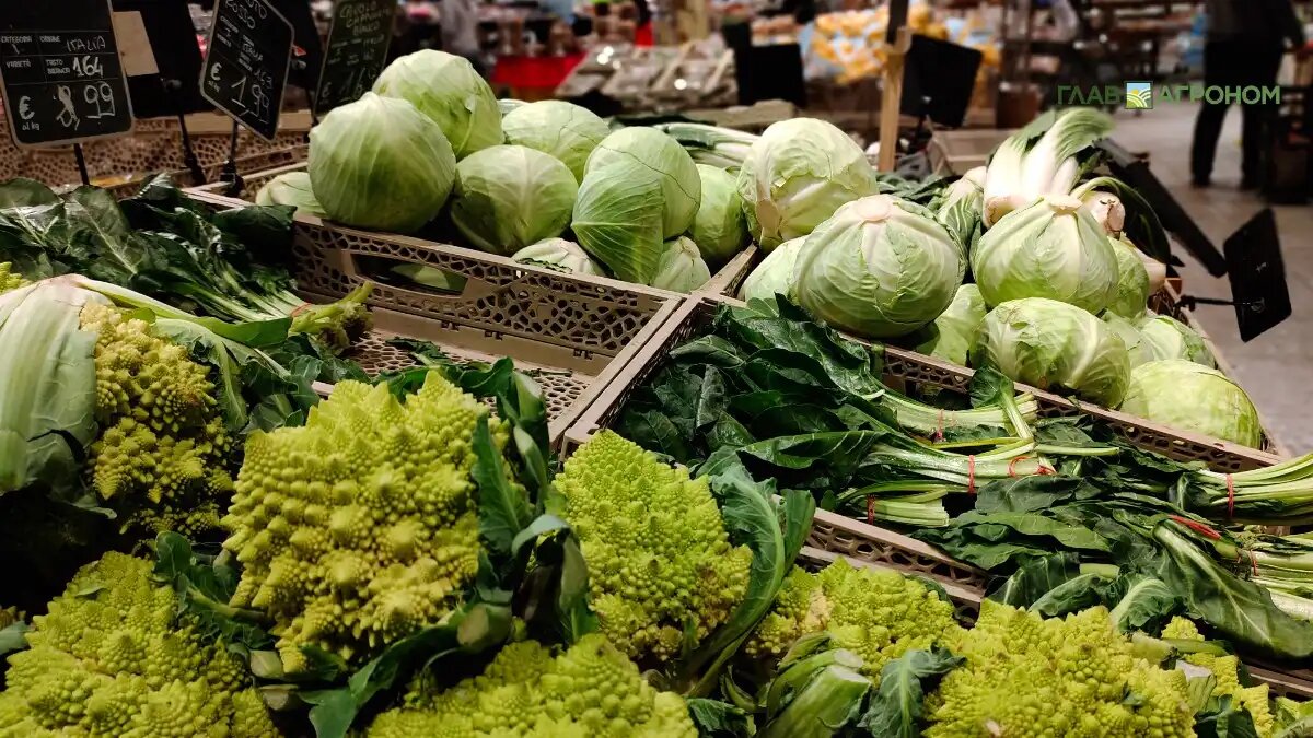 Фото:© Александр Маментович
Минсельхоз хочет обязать регионы вести реестры агроагрегаторов