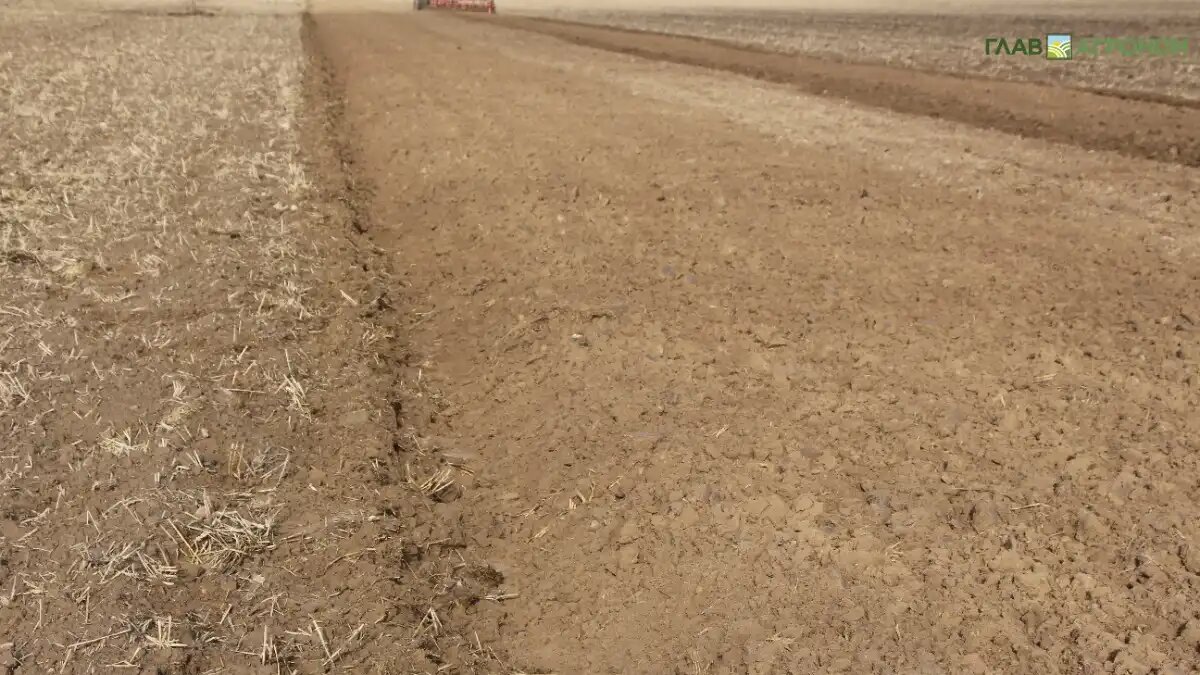 Фото:© Владимир Исаенко / Glavagronom.ru
Казанские ученые предложили новый подход к оценке плодородия сельхозугодий