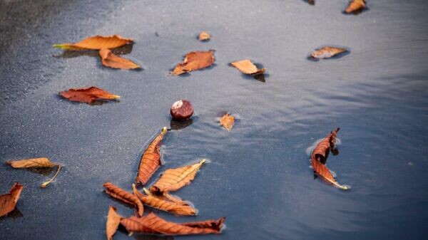    © РИА Новости Крым