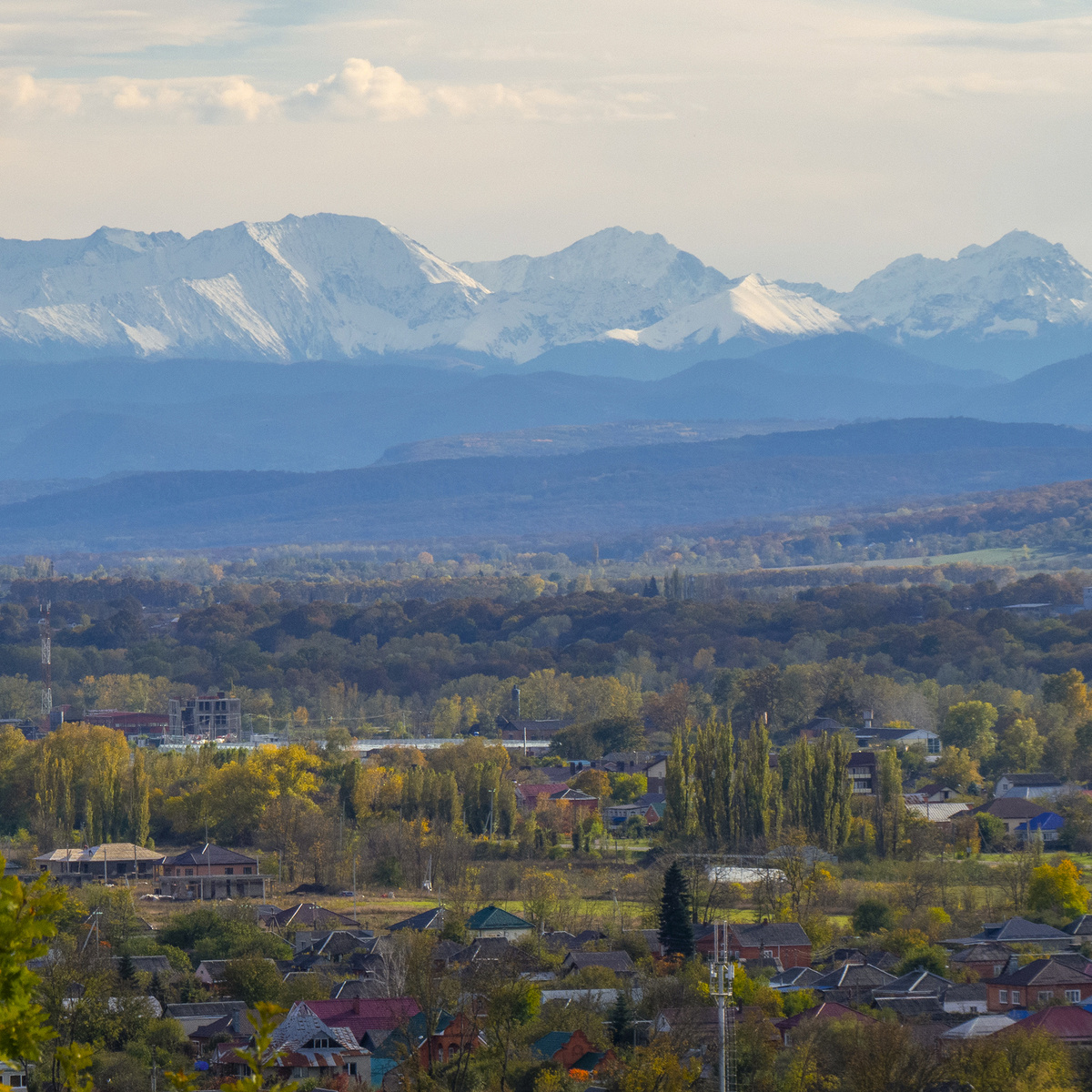 Здесь и далее фото автора, 22 октября 2022 года. 