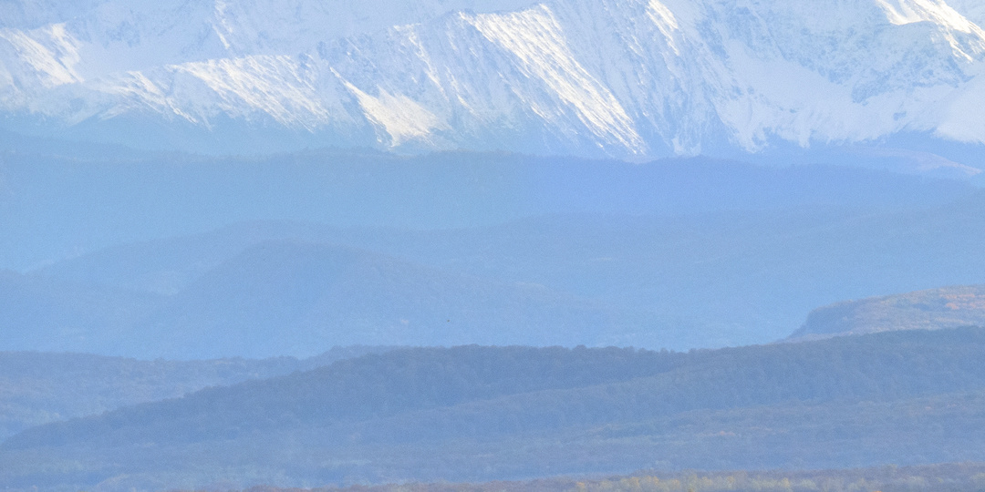 Майкопские панорамы золотой осенью, 22 октября 2025 г.