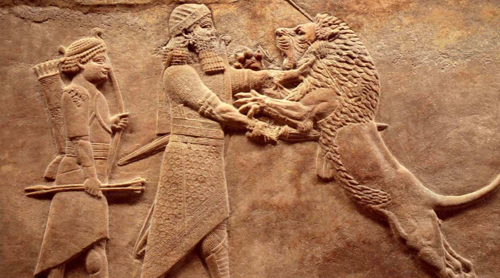 Фото: Viacheslav Lopatin/Shutterstock/FOTODOM