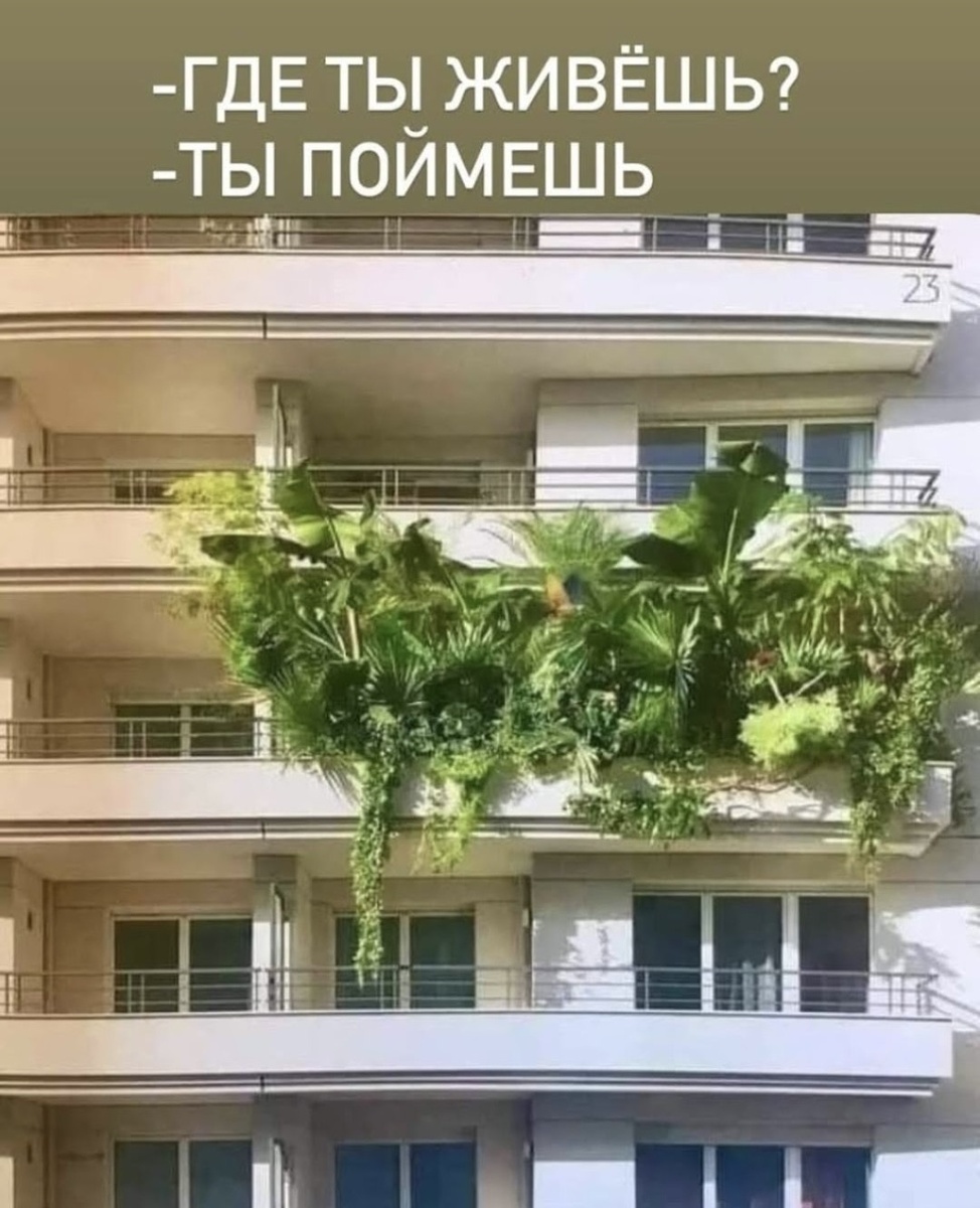 А ведь когда то наши малыши разрастутся😁