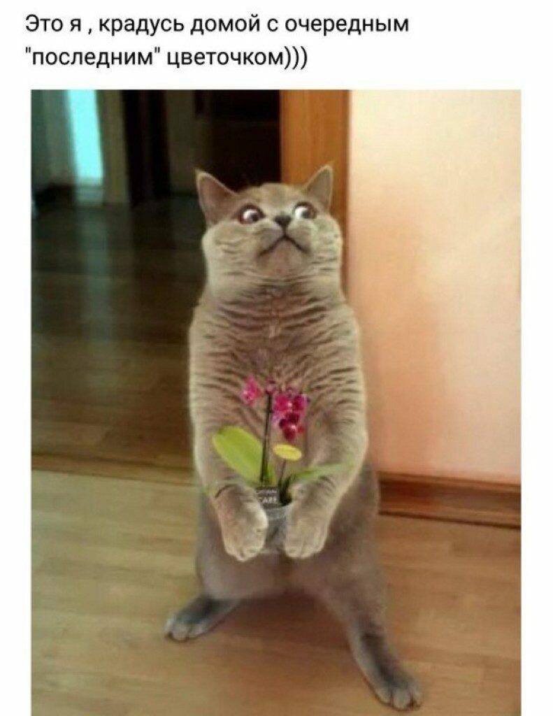 Это реально я каждый раз😂