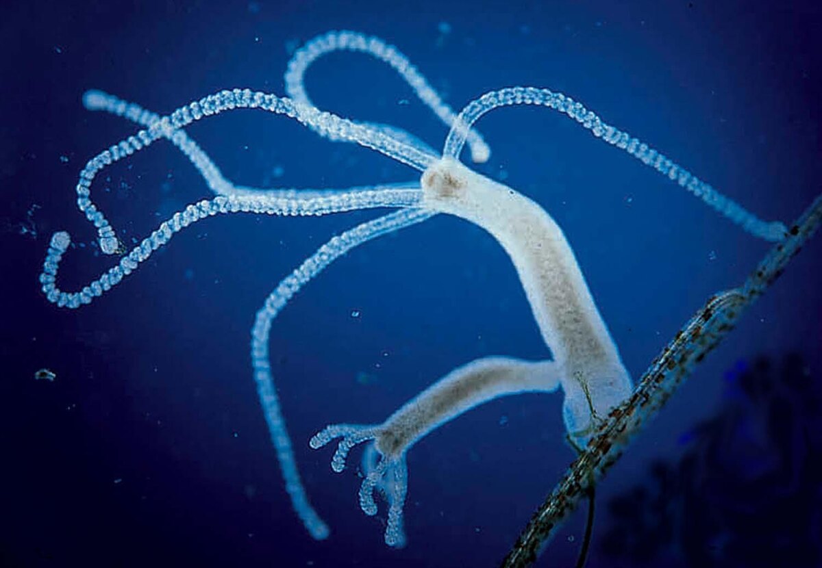 Фотография из интернета