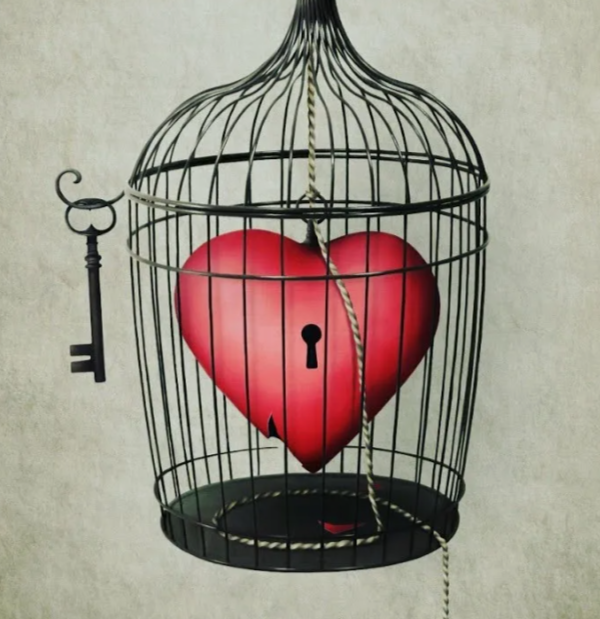 Фото из открытых источников