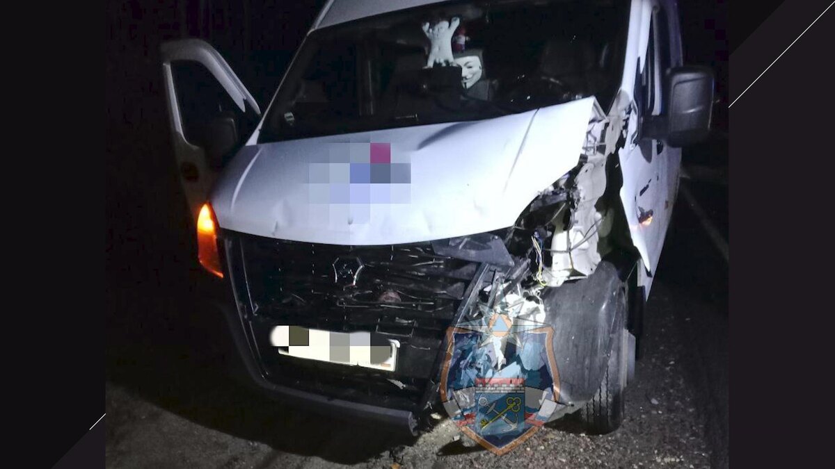    Фото: t.me/acclenobl