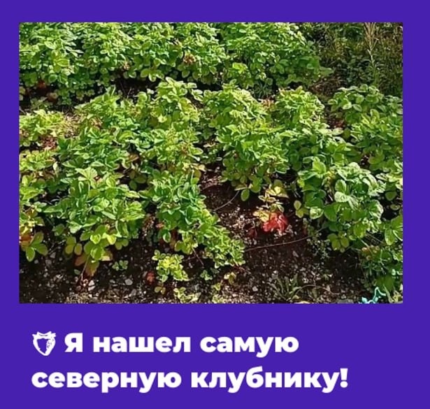 фото нашего корреспондента (Игорь Стэн)