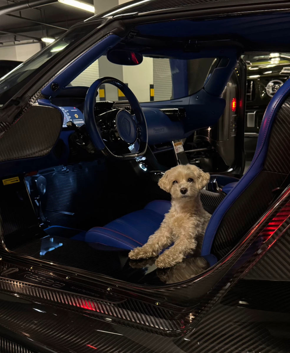    Киви оценила роскошный подарокКадр из видео