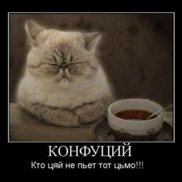 источник Яндекс-картинки