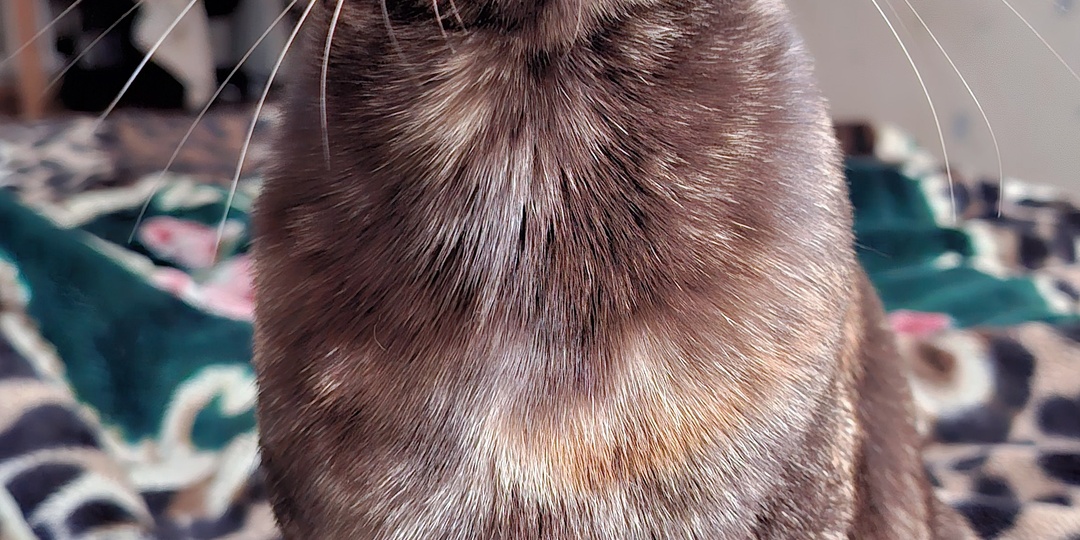 Масса решает