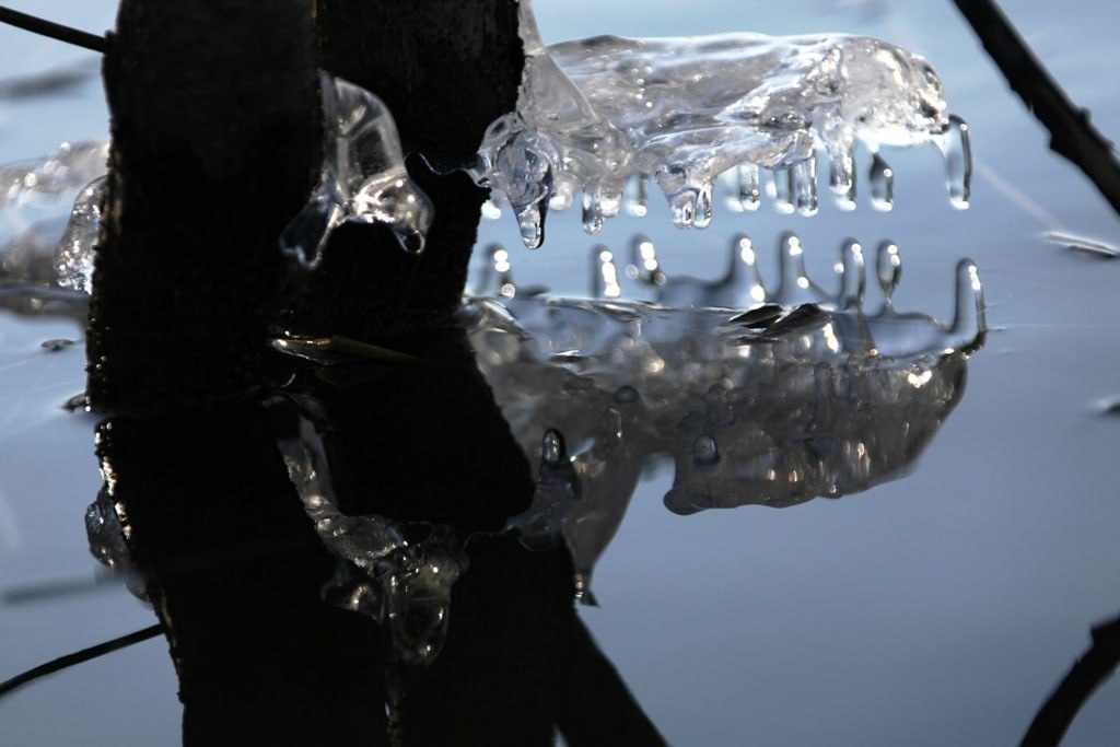 Nikolay Gyngazov/Global Look Press