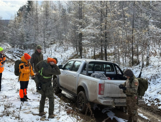 Более 400 человек искали пропавших. Фото: тг-канал Lizaalert