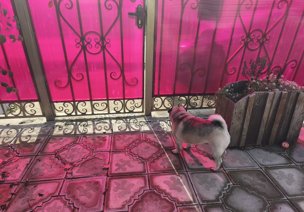 Ефим провожает хозяев у калитки