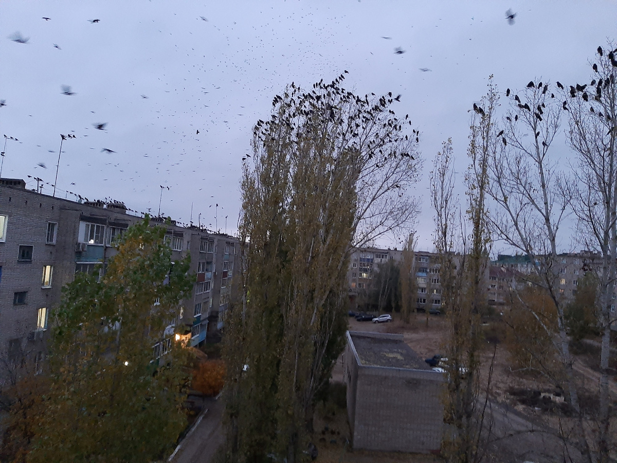 Вечерняя фотография и она совсем не прередает происходящее.