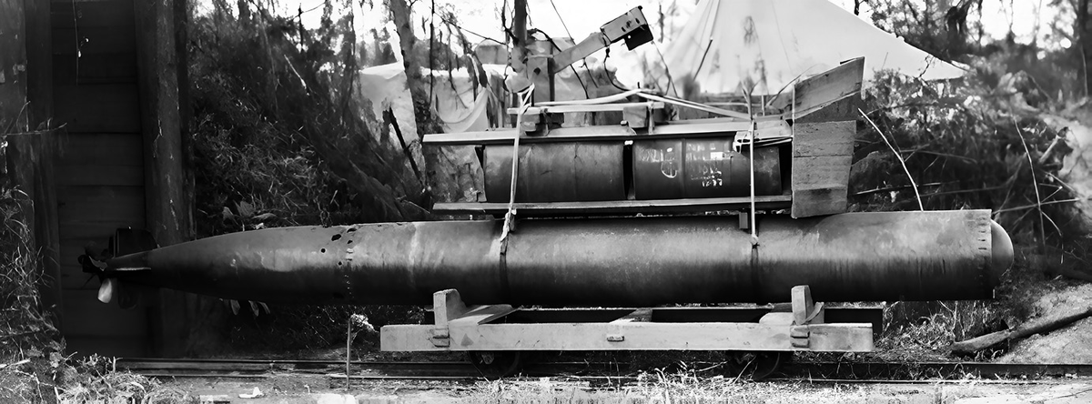 533-мм воздушная парогазовая торпеда Type 6 (без БЗО)