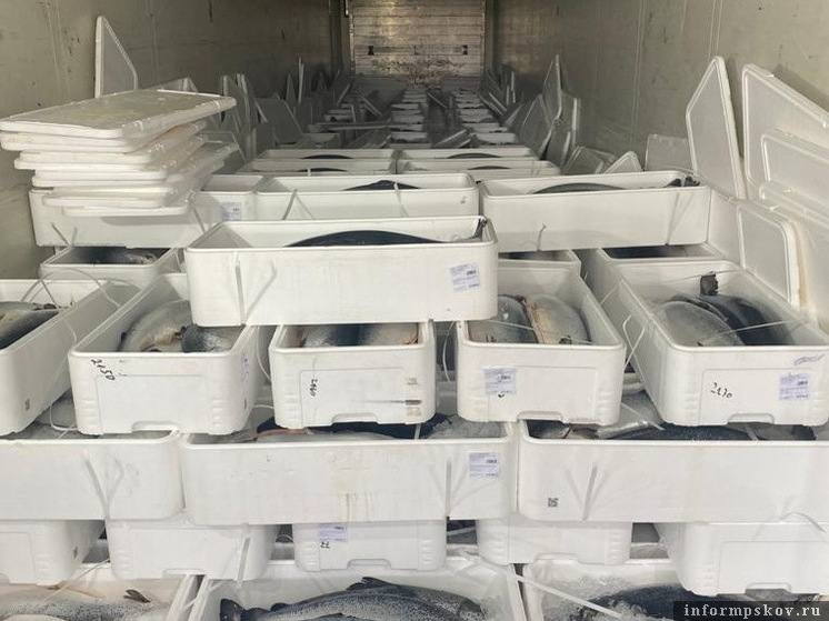 Фото: пресс-служба Северо-Западной транспортной прокуратуры