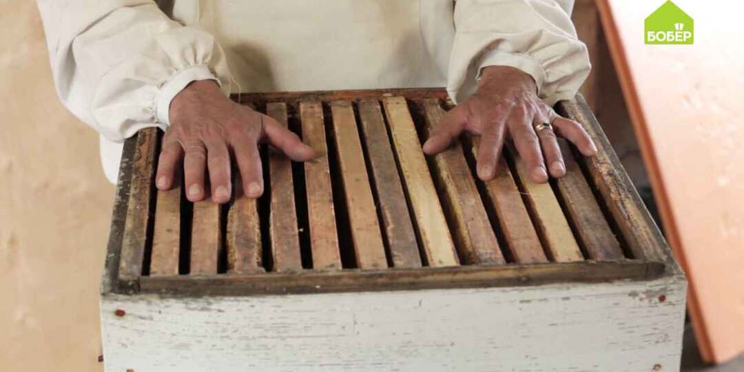 Как подготовить улей к зимовке пчёл