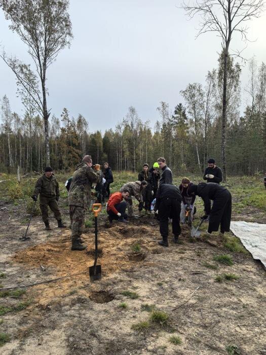 Раскоп в Себежском районе
Фото: со страницы Владимира Бумакова в соцсети «ВКонтакте»