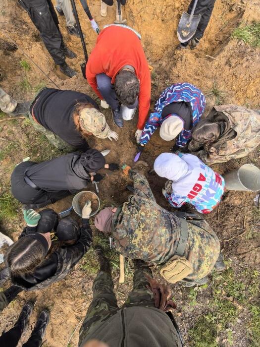 Раскоп в Себежском районе
Фото: со страницы Владимира Бумакова в соцсети «ВКонтакте»