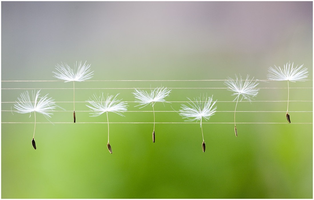 Песня "Лети, Душа моя! для пробуждения Души! 