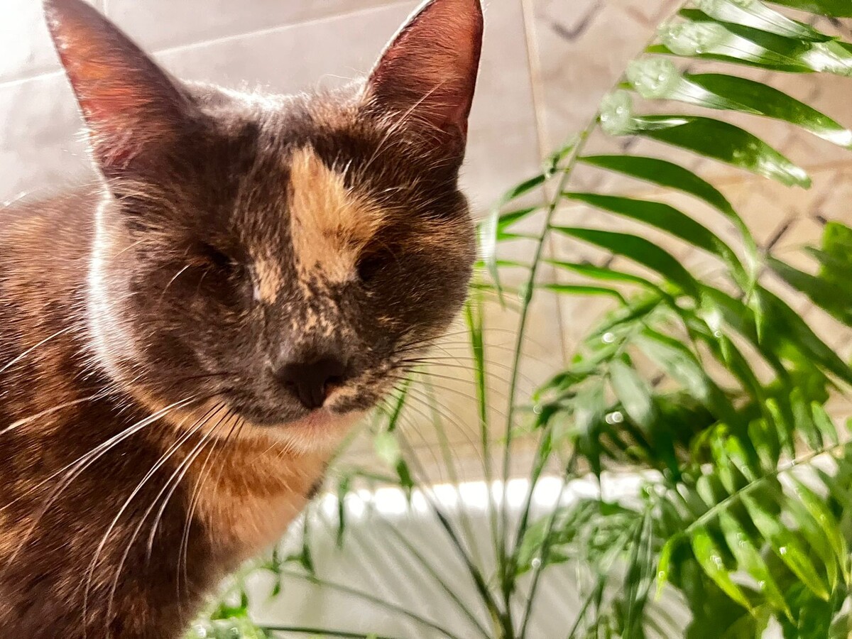 #выпускники_берегини_Ая