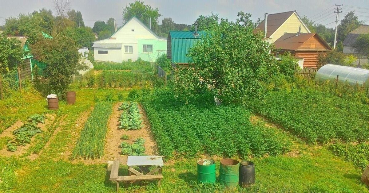 Советская дача с грядками и садом