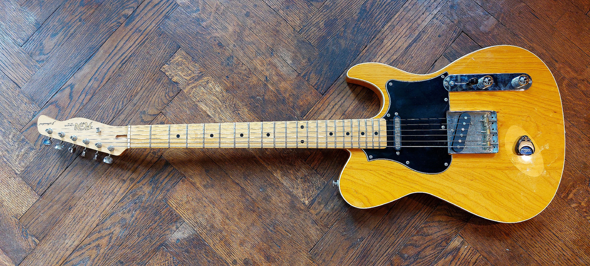 Электрогитары Fujigen