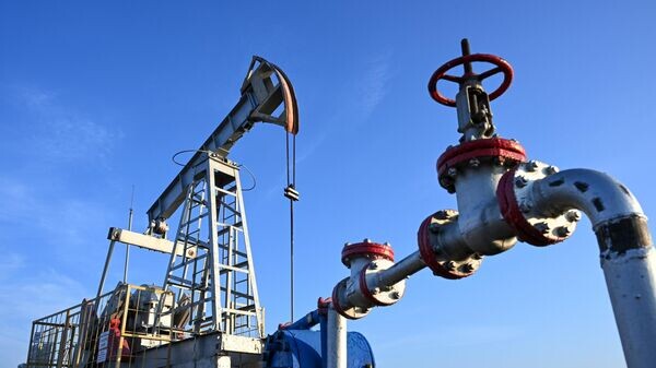    © РИА Новости . Максим Богодвид