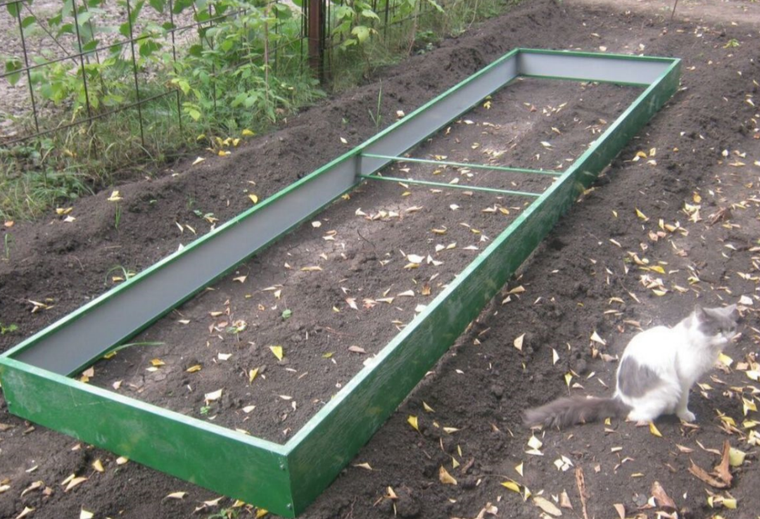 Грядка сейчас 