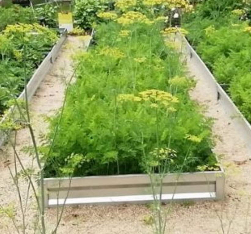 Летом (июль) 