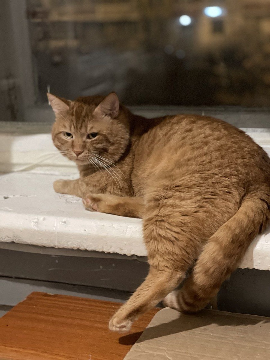 Пусть другие бегают, мне и тут хорошо