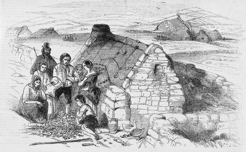 Great Potato Famine revealed