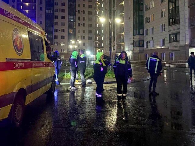    Фото: телеграм-канал "Дмитрий Волков глава городского округа Красногорск"