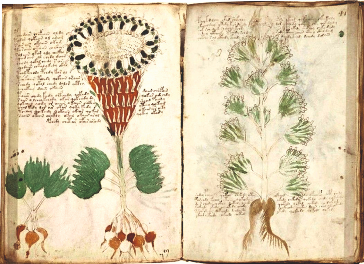 Манускрипт Войнича