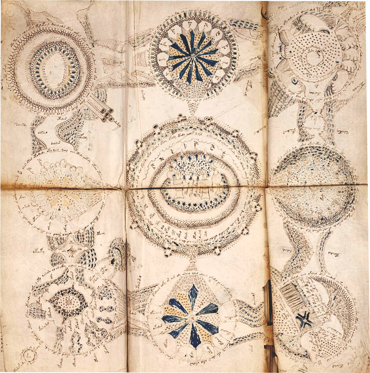 Манускрипт Войнича