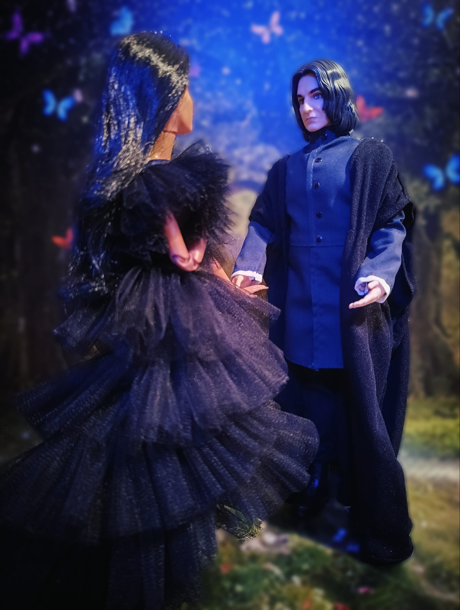 Северус и Ида (Barbie Fashionistas 147).