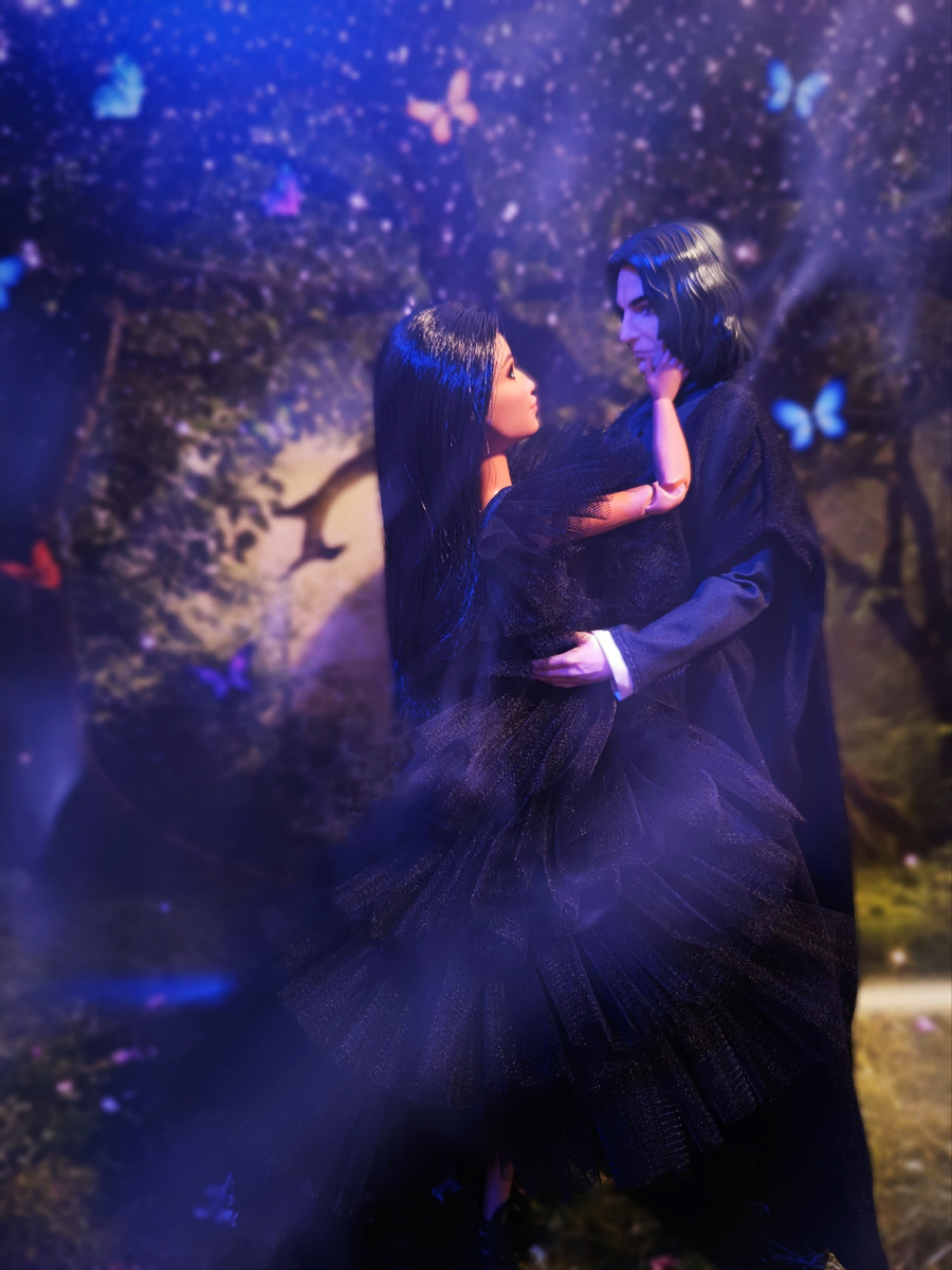 Северус и Ида (Barbie Fashionistas 147).