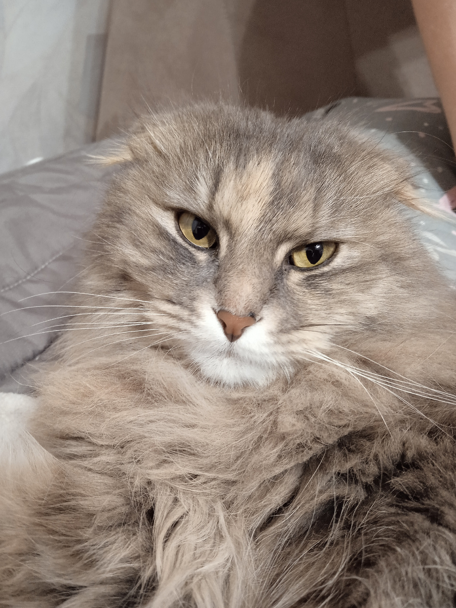 Главный виновник