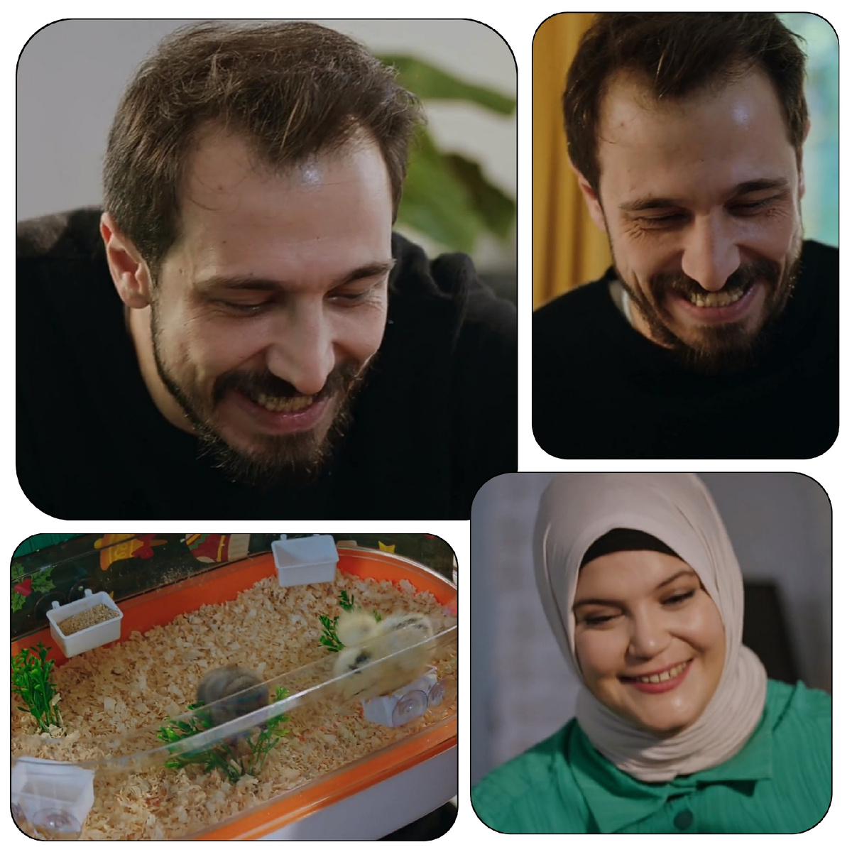 Коллаж из фотографий сериала "Клюквенный щербет" 