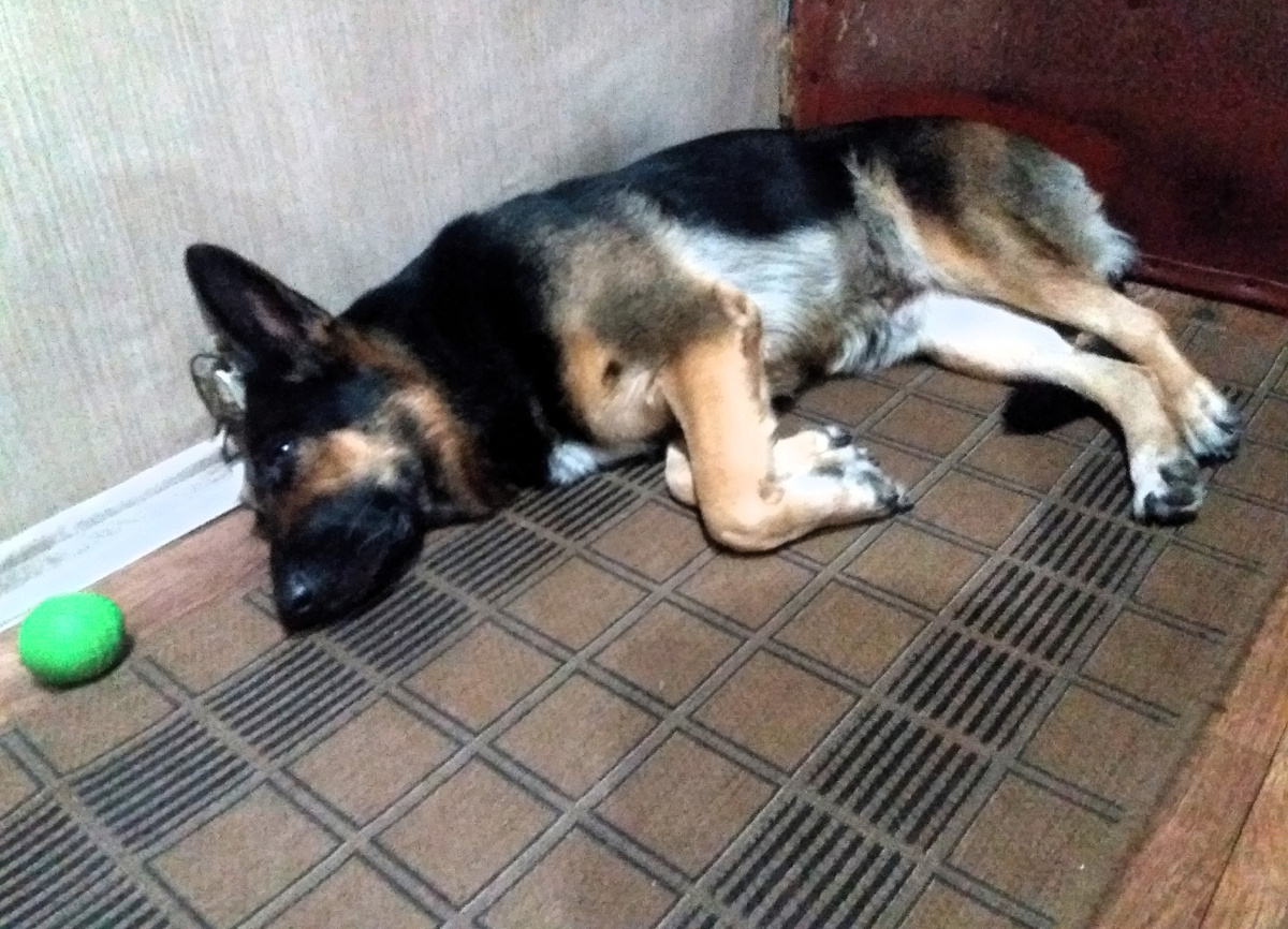 Флто автора