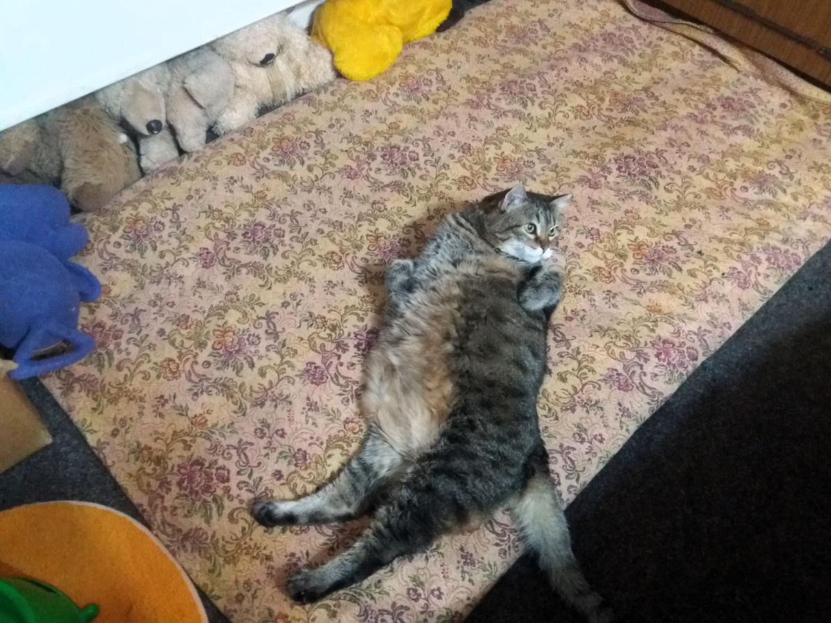 Фото автора