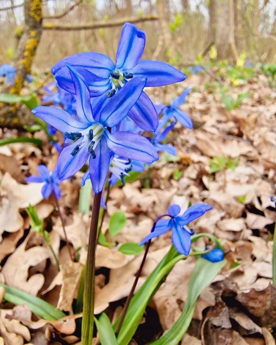 Вспомним о весне 🤗