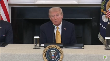 Кадр видео из цитируемого источника