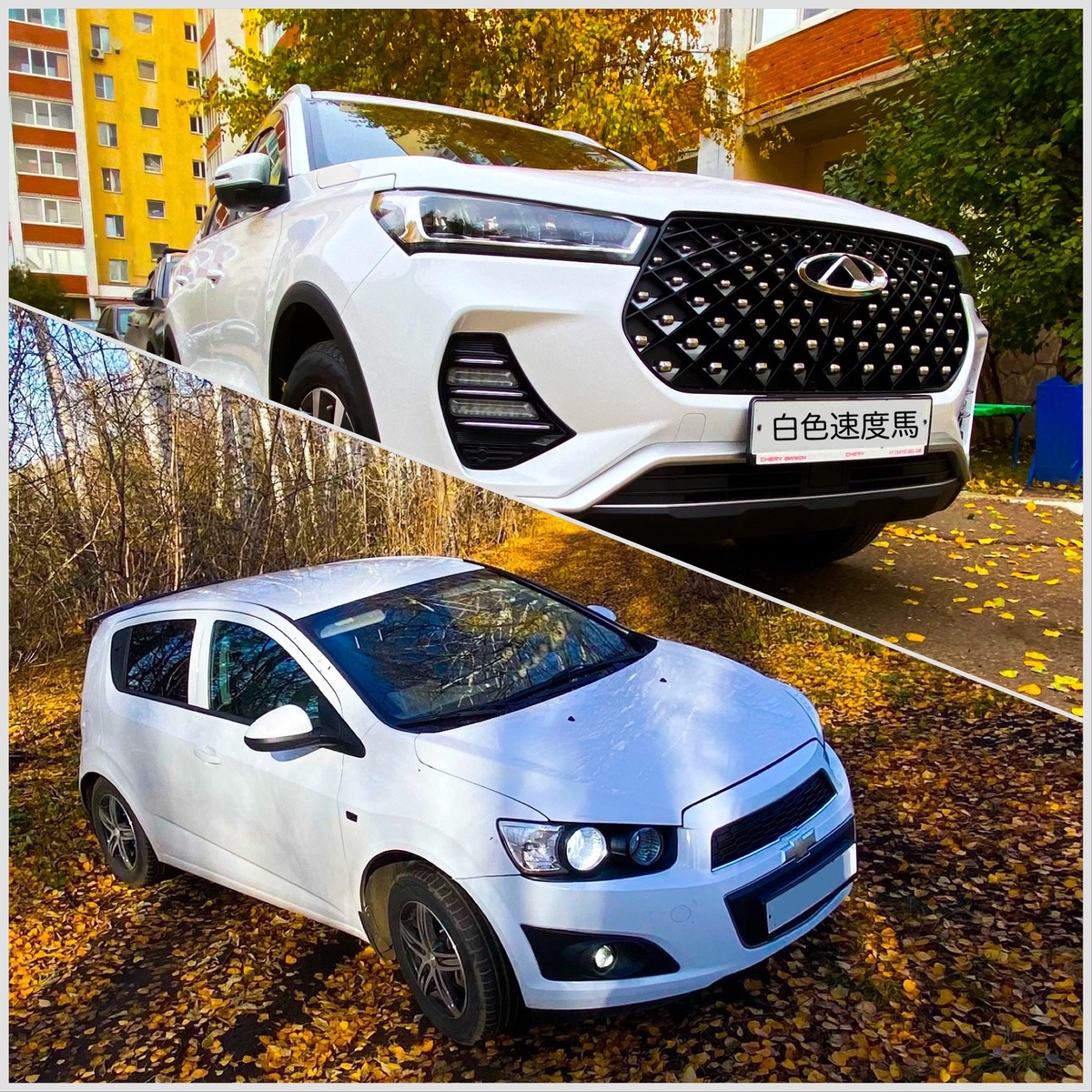 Американский кореец vs Китаец