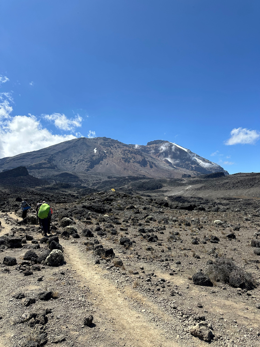 Восхождение на Килиманджаро. 4-ый день. Путь к Лава тауэр. Высота примерно 4 300 метров.