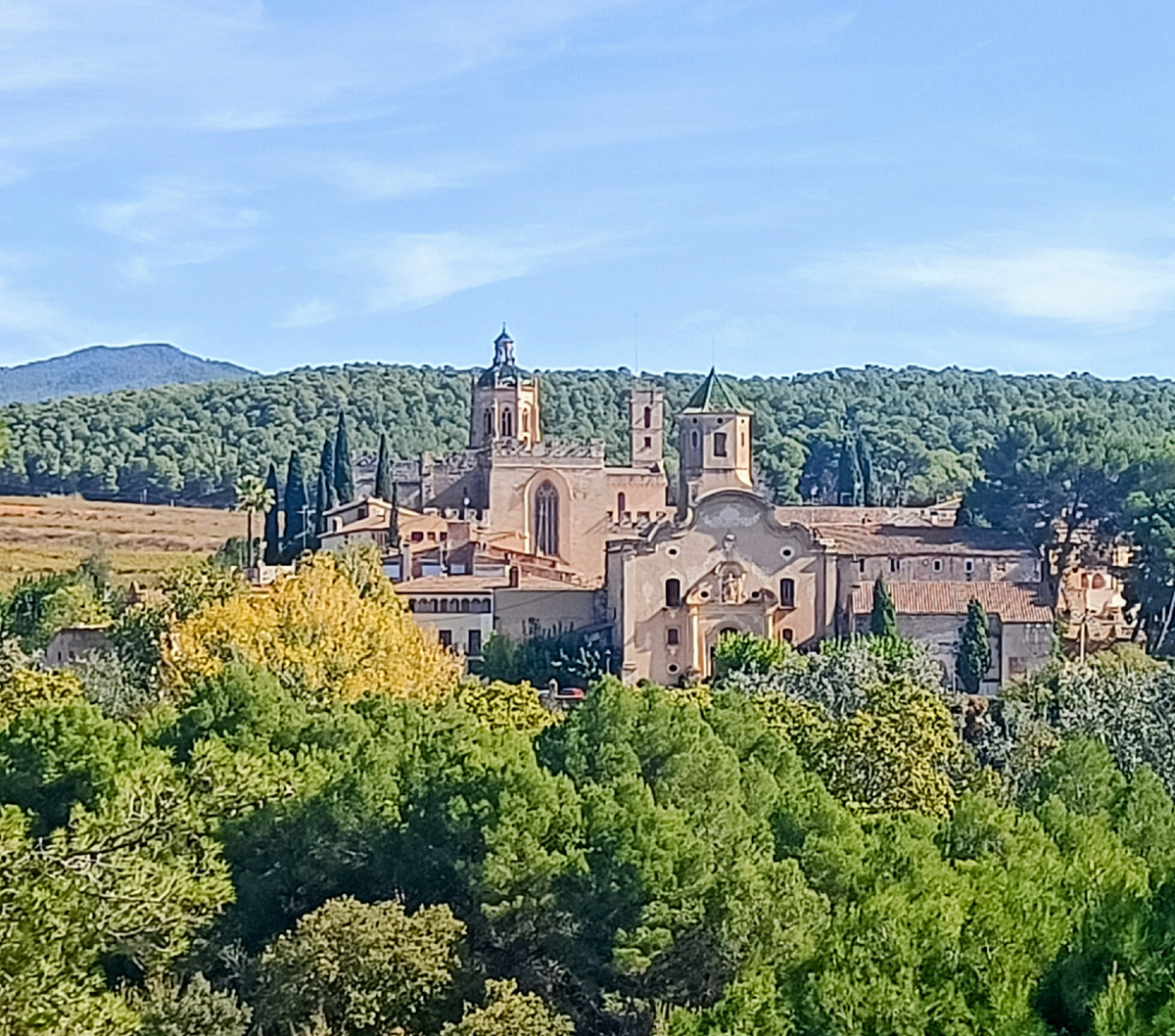 Королевский монастырь Сантес Креус. Таррагона. Испания. Фото автора 